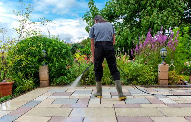 Trusted Springfield, VA Pressure Washing Experts