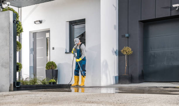 Best Fence Cleaning  in Springfield, VA